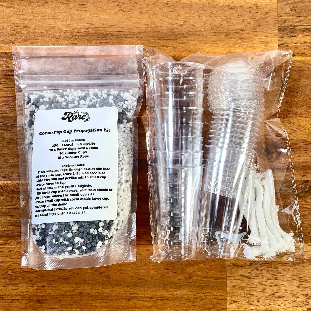 stratum-propagation-kit-alocasia-rare-plantation