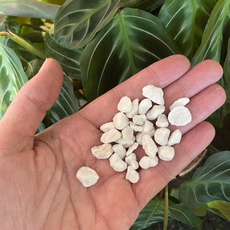 chunky-perlite-coarse-substrate-bio-leaf