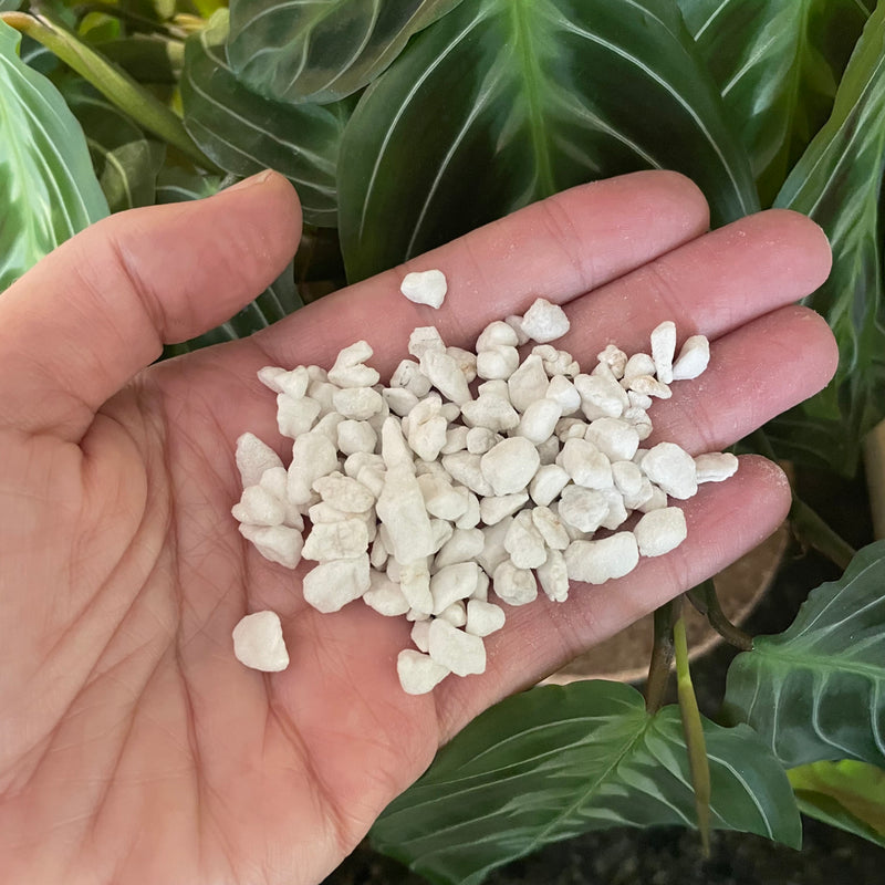 coarse-perlite-plants-substrate-bio-leaf