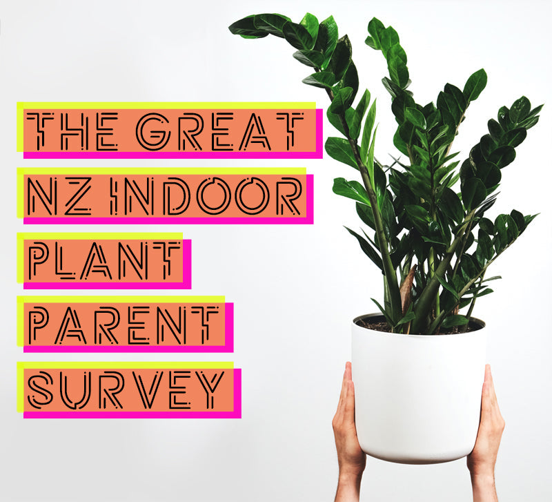 The Results Are In > The Secret Life of NZ Indoor Plant Parents