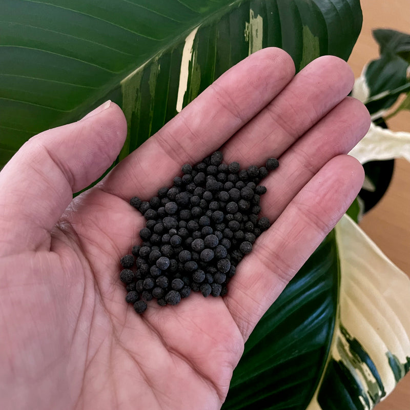 bio-leaf-fluval-stratum-aqua-soil-nz